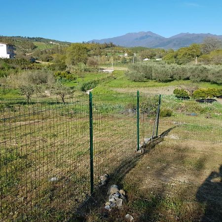 Villetta Nel Verde Ascea Exteriör bild