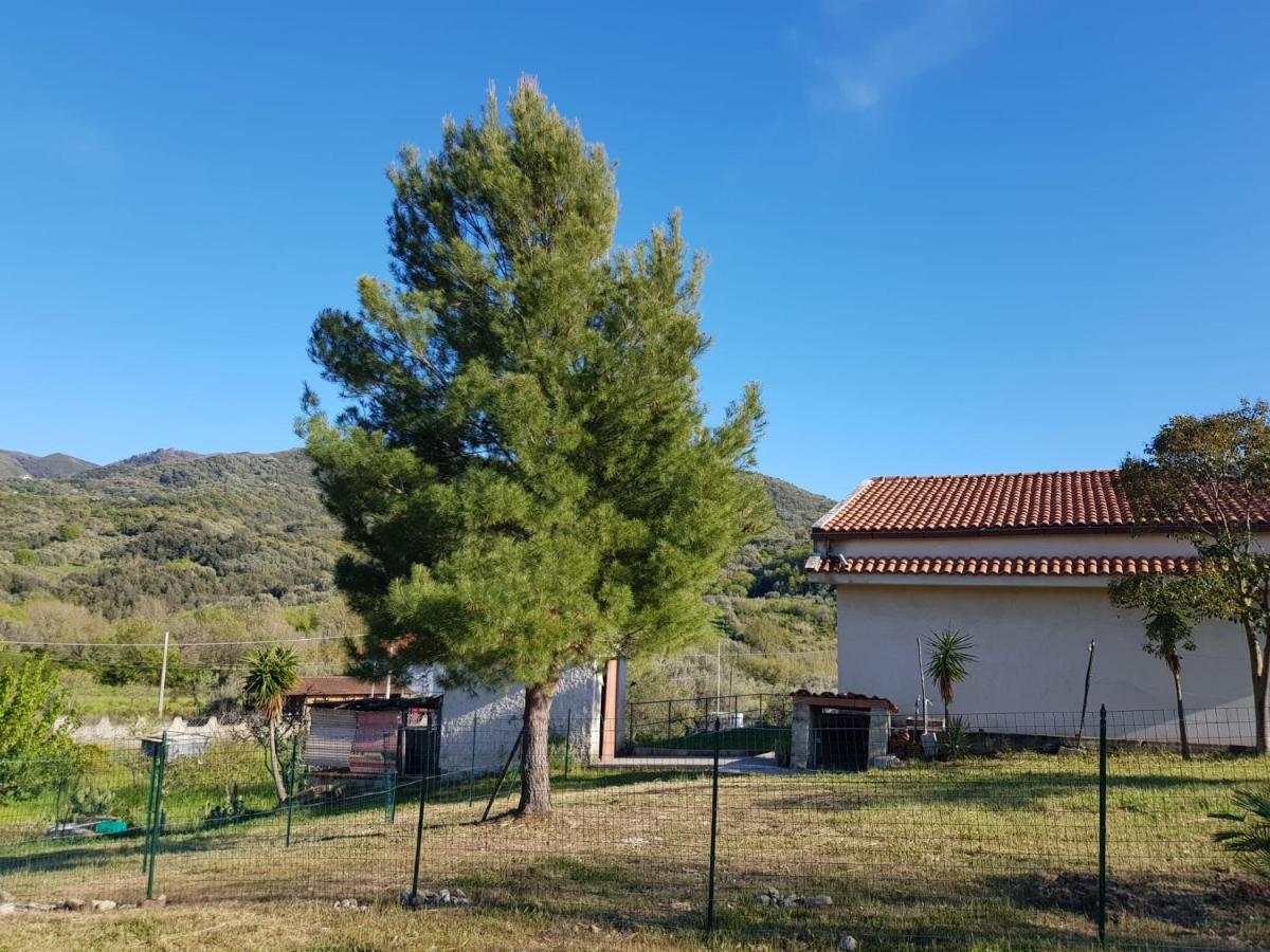 Villetta Nel Verde Ascea Exteriör bild