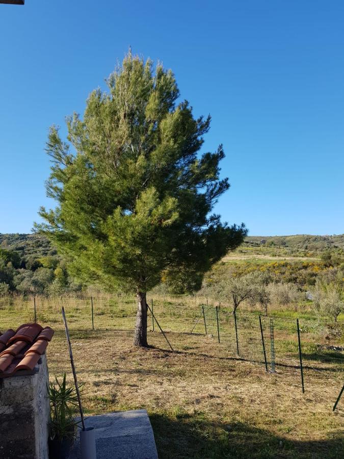 Villetta Nel Verde Ascea Exteriör bild