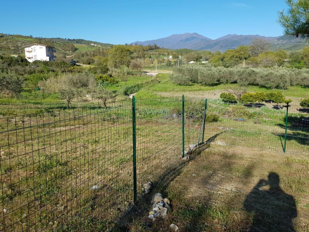 Villetta Nel Verde Ascea Exteriör bild