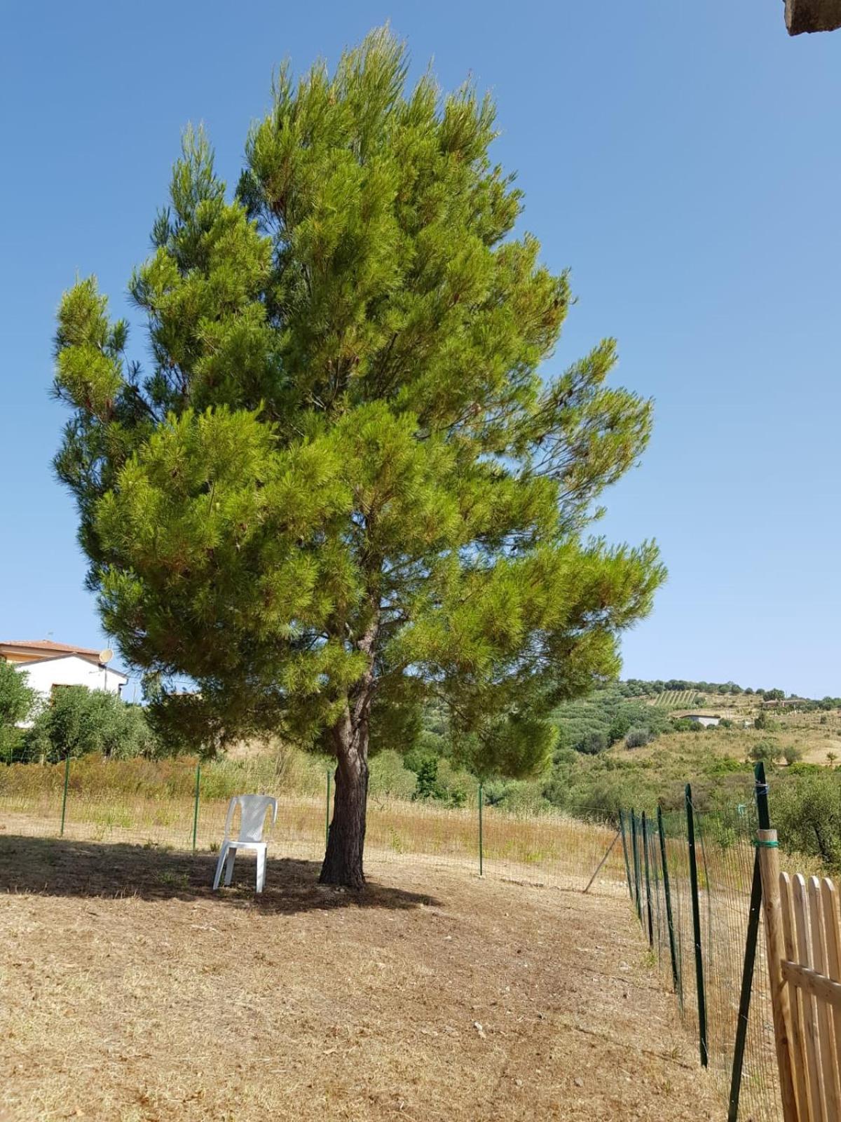 Villetta Nel Verde Ascea Exteriör bild